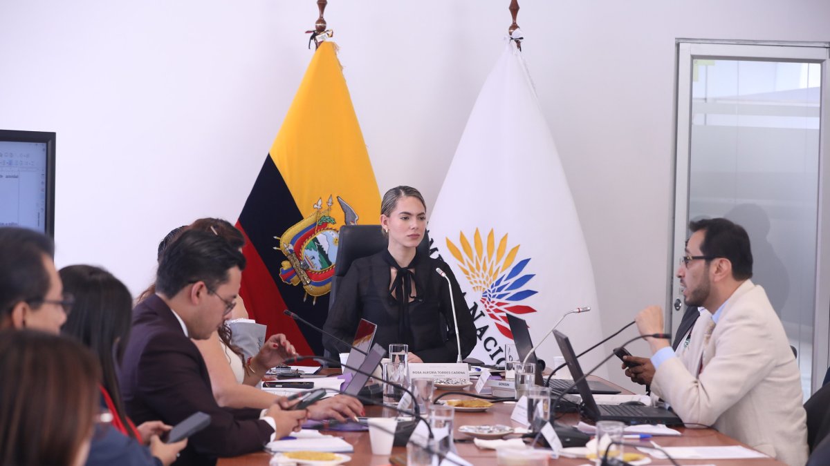 La oficialista Rosa Torres preside la Comisión de Justicia.