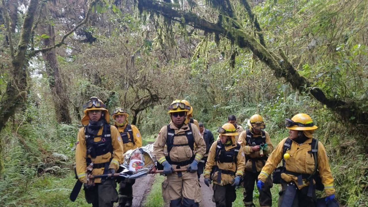 Durante el ejercicio pusieron en práctica sus conocimientos en atención Prehospitalaria al simular la atención a un bombero herido.