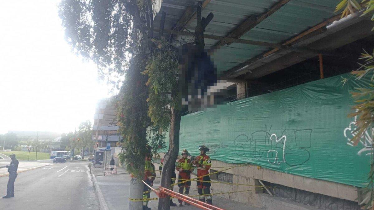 Trabajador muere en obra: cuerpo fue hallado sobre un árbol en la avenida 12 de Octubre y Tarqui, norte de Quito.