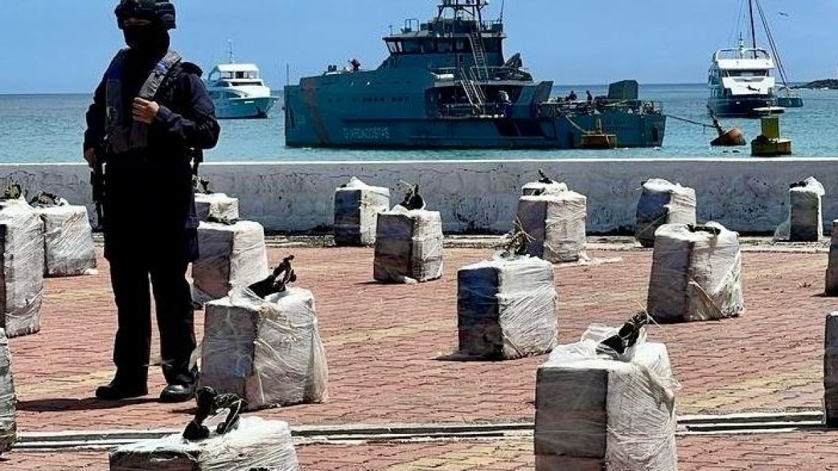 El Ministerio de Defensa informó que hasta junio de 2025, se han decomisado 96 toneladas de droga.