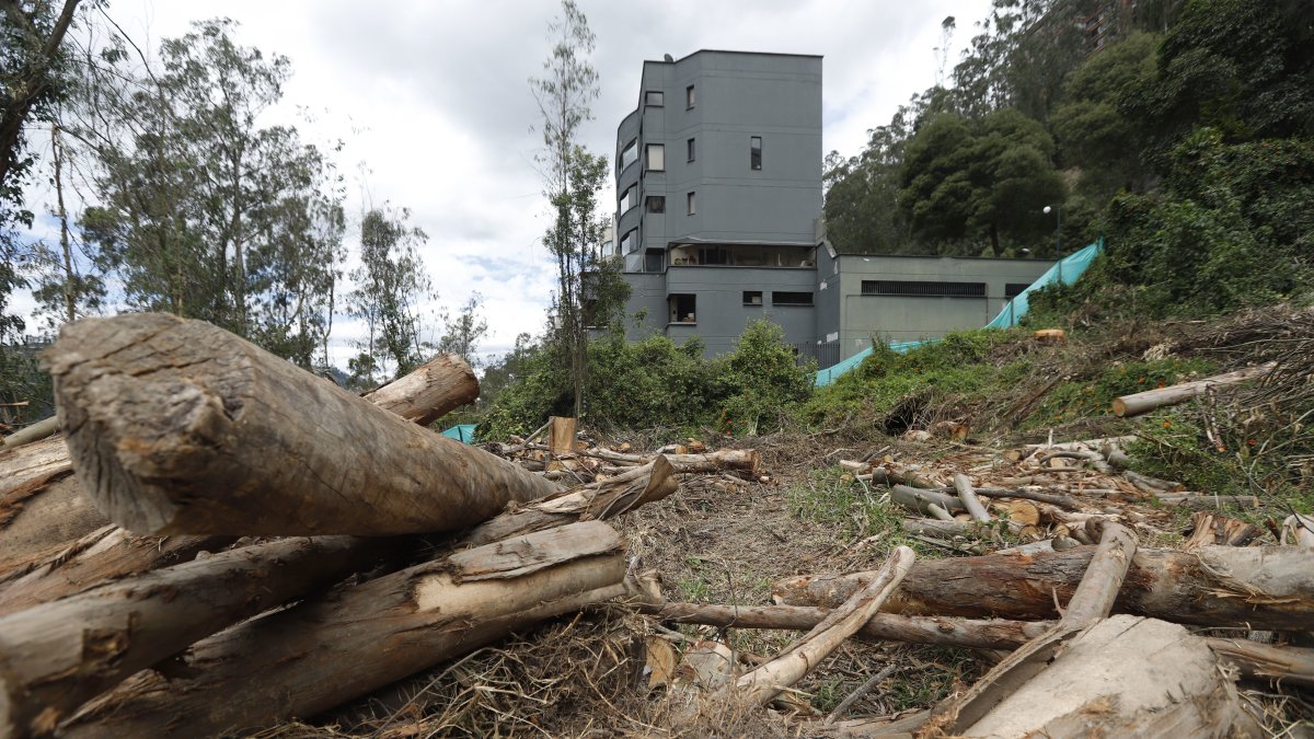 Problema. Los vecinos aseguran que una construcción en la ladera puede provocar deslizamientos con las lluvias y la erosión.