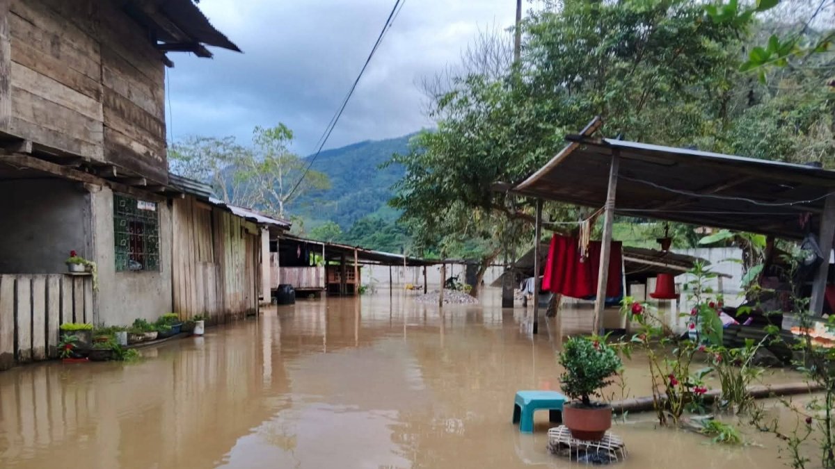 Maquinaria del Ministerio de Transporte y Obras Públicas trabaja en la limpieza de lodo y escombros en la vía Zamora–Yantzaza tras los derrumbes provocados por las lluvias.