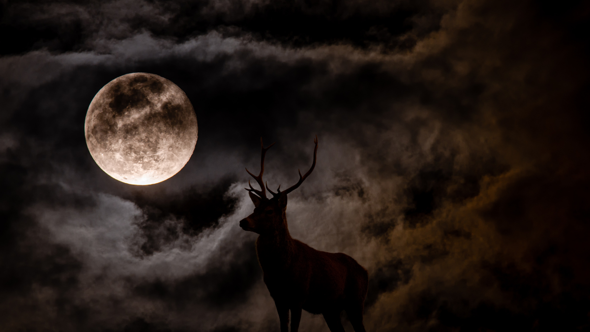 Se podrá observar la Luna del Ciervo este mes de julio.