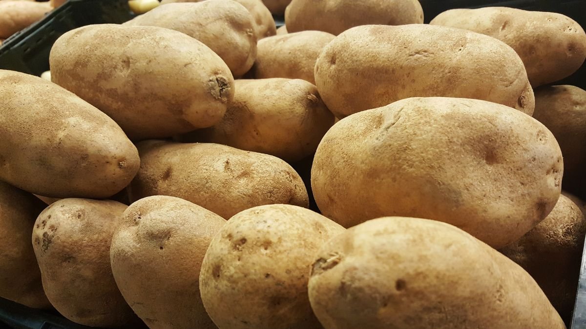 Campesinos de Santander acusan pérdidas económicas por el supuesto contrabando de papa desde Ecuador