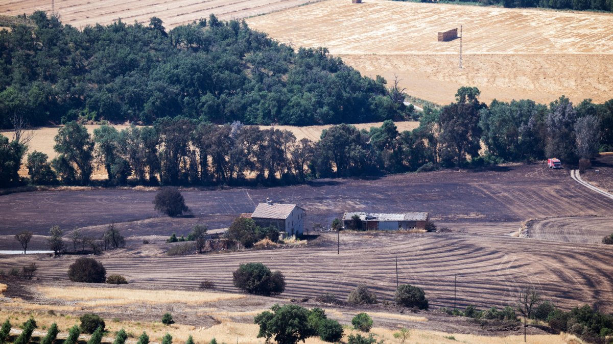 Vista de una de las zonas quemadas por el primer gran incendio forestal del año en España.