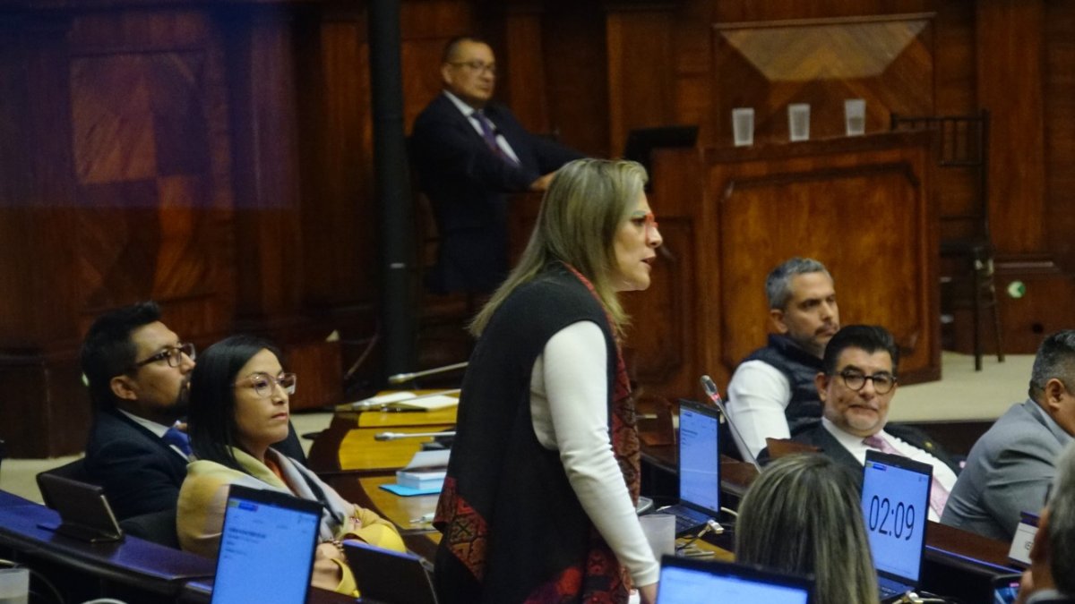 La asambleísta correísta Verónica Íñiguez mencionó, uno por uno, a los legisladores de Pachakutik.