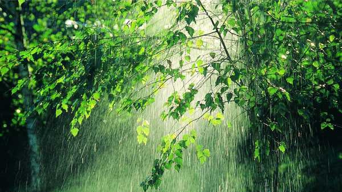 Gobierno activa plan de emergencia y asistencia urgente en la Amazonía ecuatoriana.