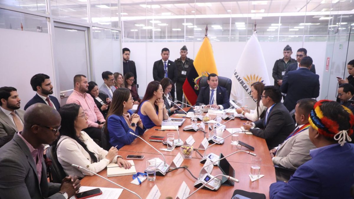 La Comisión de Fiscalización de la Asamblea conoció la situación médica de Solanda Goyes este 3 de julio de 2025.