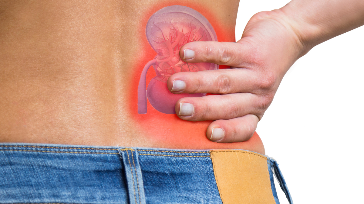 La hidratación, el control médico y una buena alimentación son claves para mantener la salud renal.