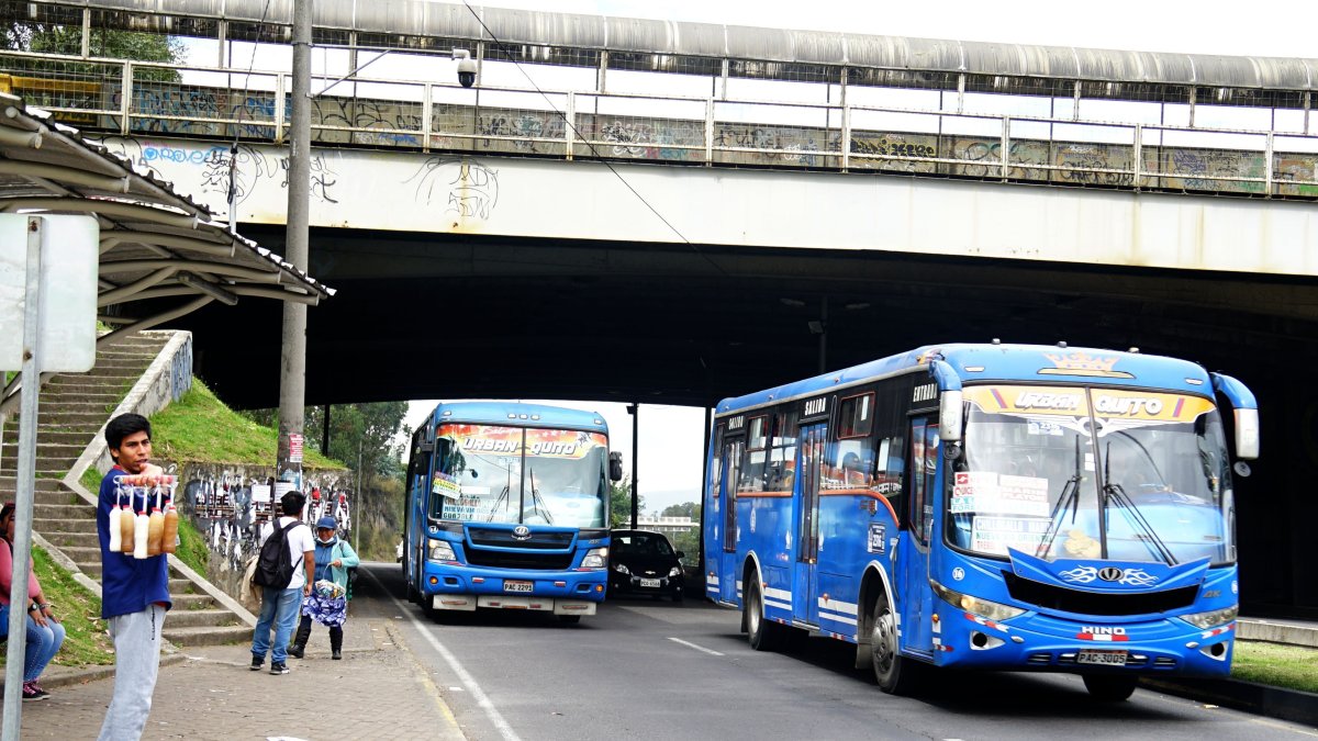 Hay multas de hasta el 50% del Salario Básico Unificado para quienes incumplan la medida vial.