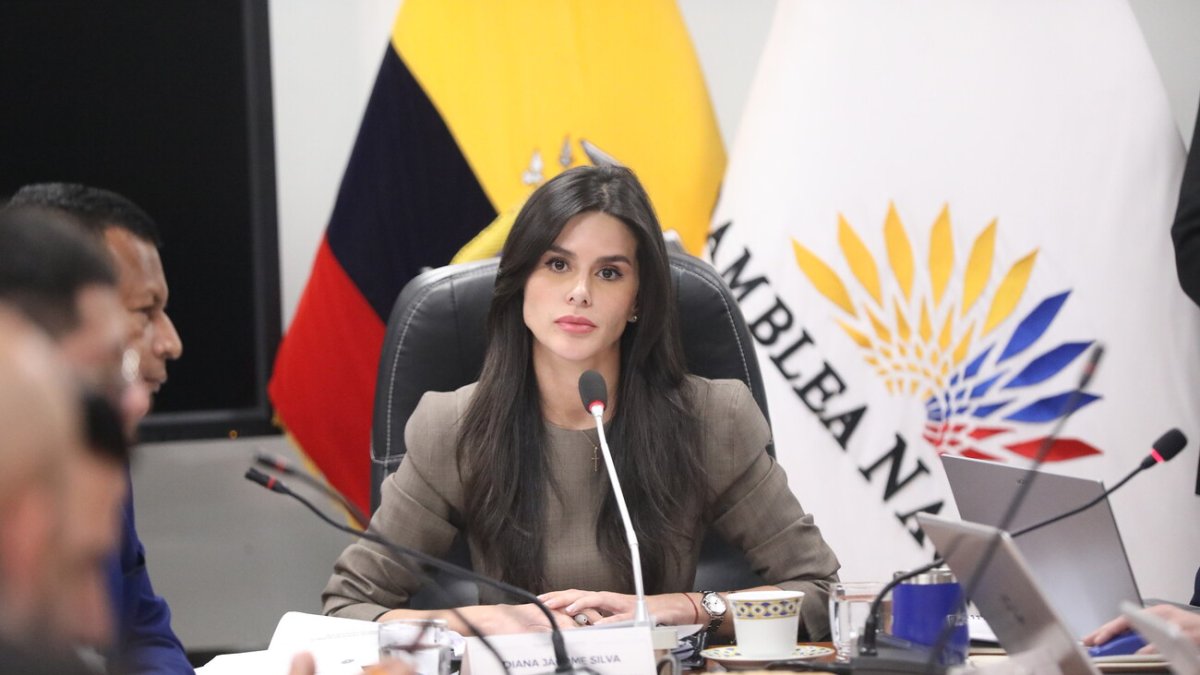 Diana Jácome, presidenta de la Comisión de Transparencia hizo el pedido al CAL para llevar la investigación de la entrega de bonos a su mesa legislativa.