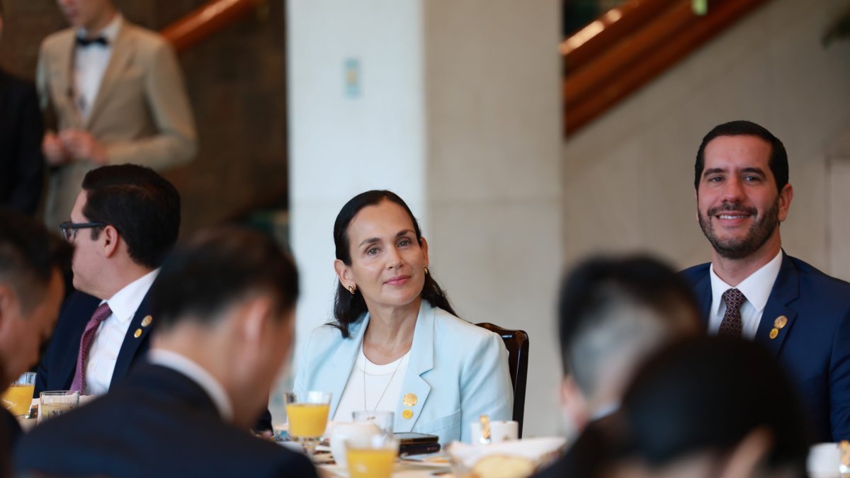 La ministra de Energía Inés Manzano se pronunció sobre la situación energética en el país el 5 de julio de 2025.