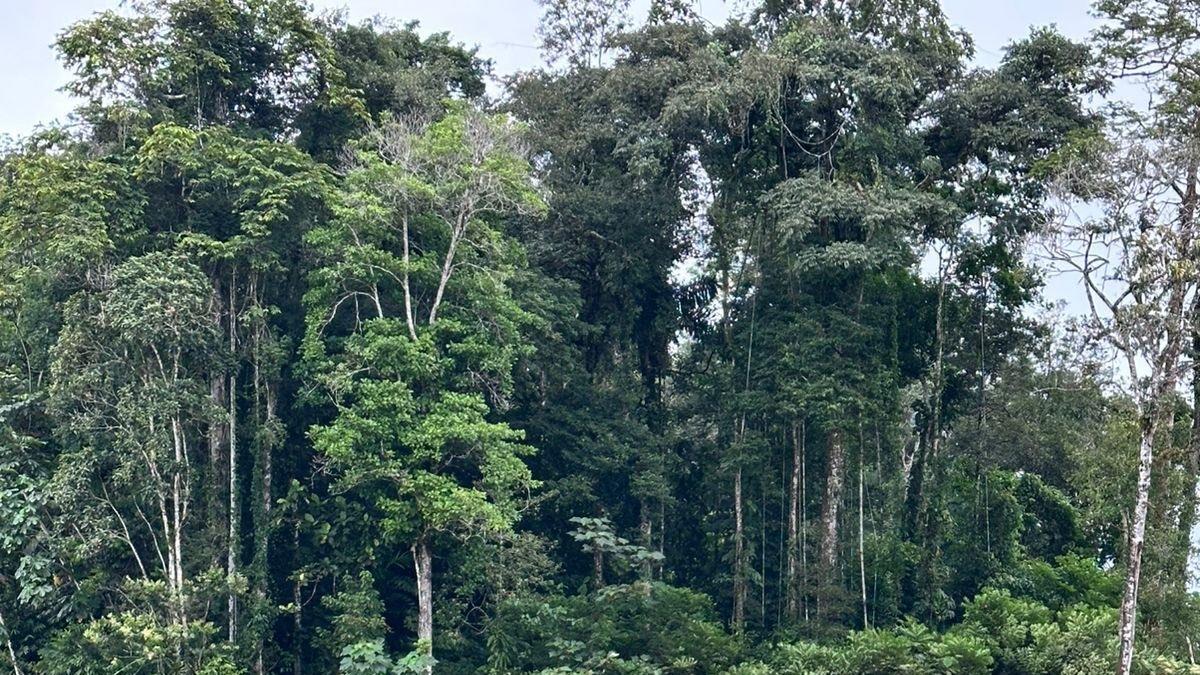 La intervención militar incluyó el despliegue de unidades tácticas, inteligencia operativa y reconocimiento aéreo con helicópteros Airbus H225.