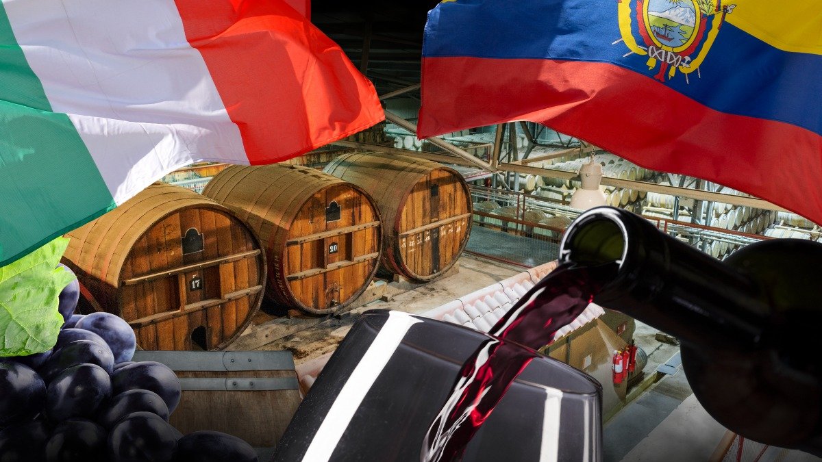 La producción de vino es una de las principales actividades productivas de Italia, en las que se requiere mano de obra.