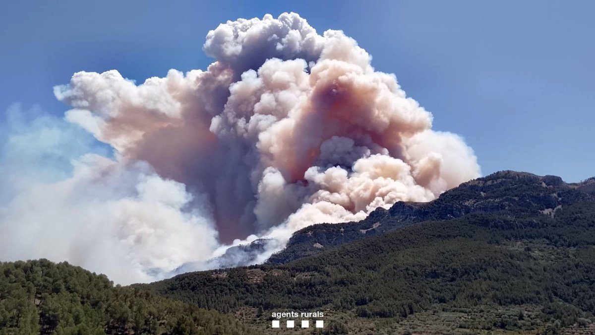El incendio forestal de Paüls (Tarragona) afecta ya a cerca de 2.900 hectáreas de masa forestal hasta el momento.