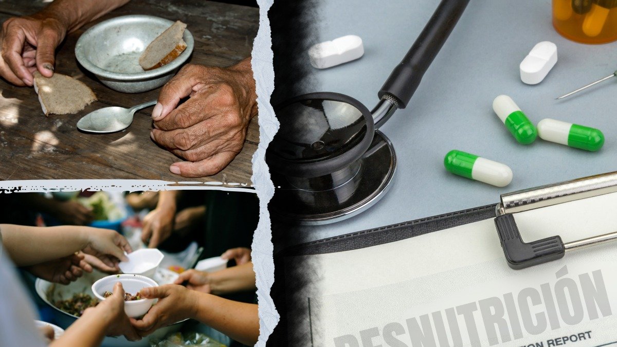 Convocatoria para compra de equipos del proyecto Ecuador Libre de Desnutrición