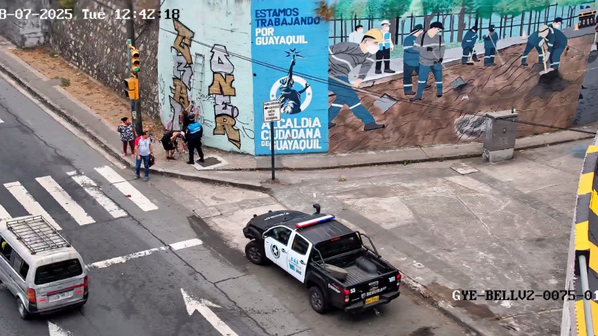 A través del C5, se captó por video la contravención.