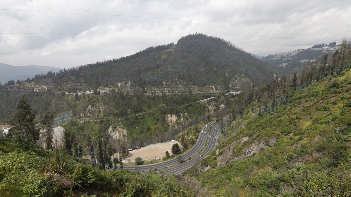 Actualidad. Las fuertes lluvias de los últimos meses han hecho su trabajo y las laderas, antes grises, hoy reverdecen, en medio de árboles muertos tras el incendio del 2024.