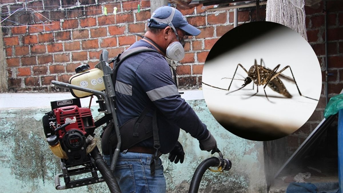 El Municipio de Guayaquil fumiga dentro y fuera de las viviendas para reducir la presencia de vectores y roedores.