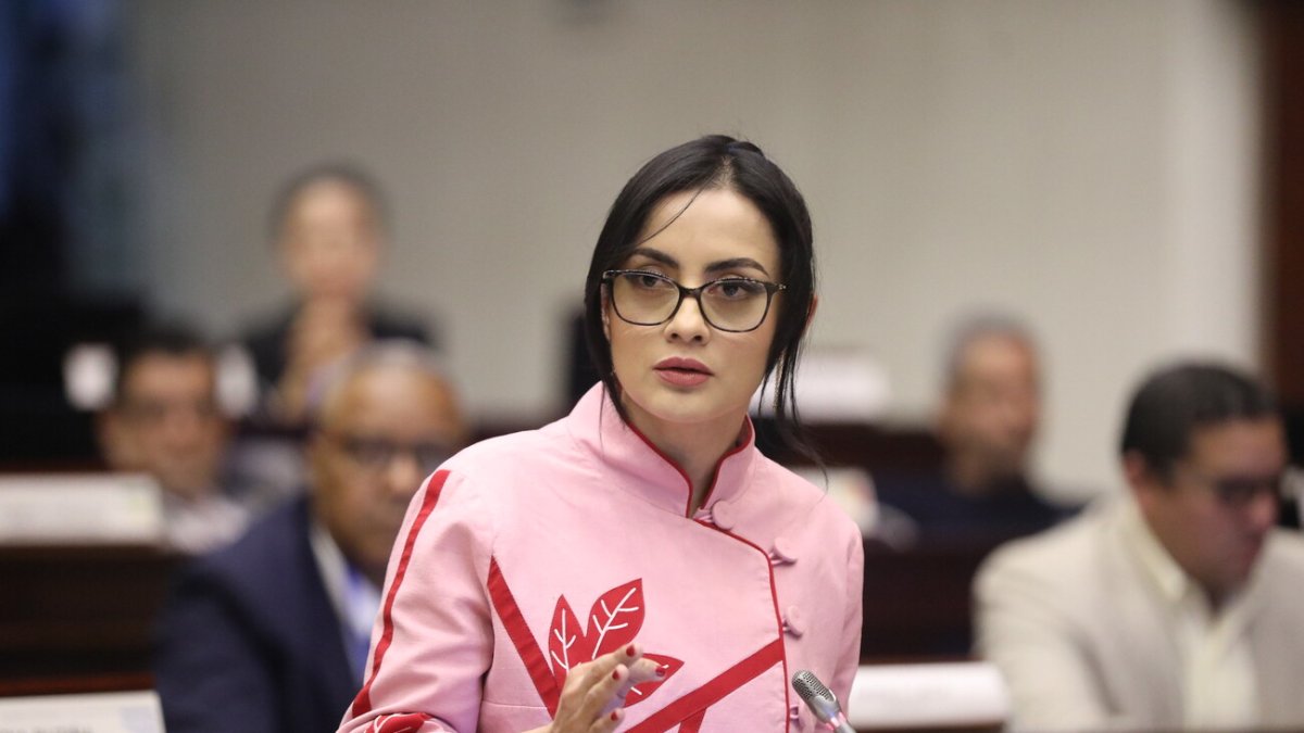 La legisladora del correísmo Viviana Veloz respondió a Nathaly Morillo, en medio del debate de la Ley de Áreas Protegidas.