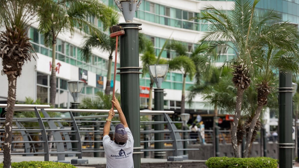 Según anunció la Alcaldía, los pisos, luminarias y sistemas de drenaje pluvial y aguas servidas de Puerto Santa Ana han empezado a ser intervenidos.
