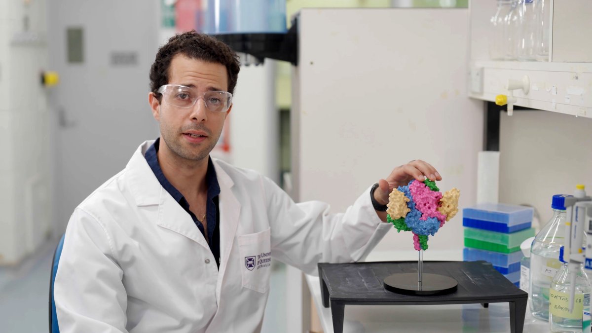 Descubren un nanocuerpo capaz de neutralizar los virus mortales de Hendra y Nipah