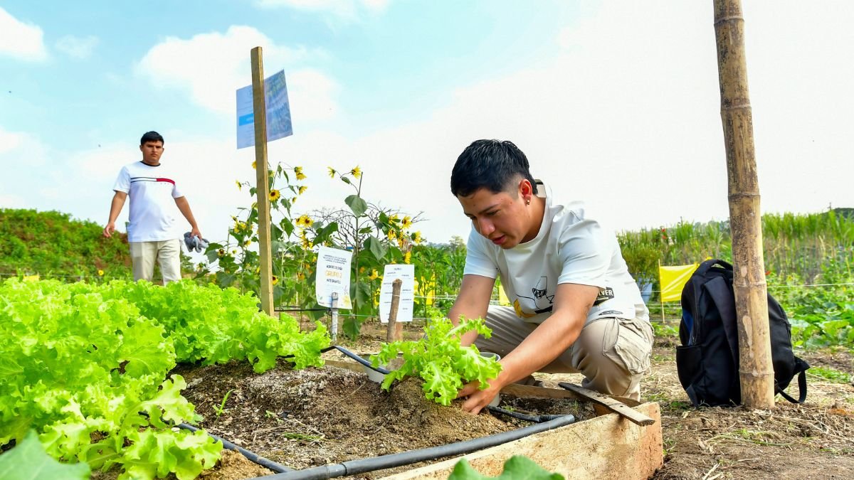 La práctica agrícola transforma la formación universitaria