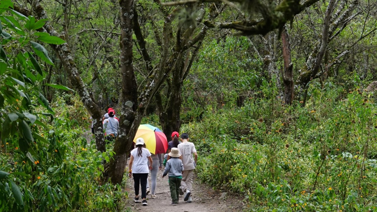 El parque Los Algarrobos es el escenario para que escuelas de Cumbayá organicen campamentos vacacionales y caminatas al aire libre.