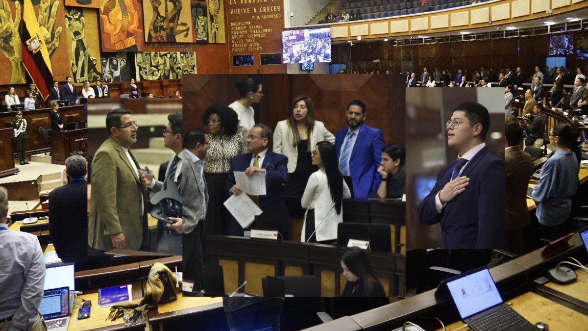 La mayoría de los asambleístas (47,01 %), en este periodo legislativo, tienen título de tercer nivel.