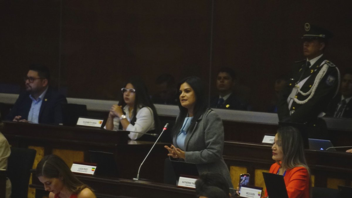 La asambleísta Lucía Pozo (ADN) fue la única asambleísta que propuso un nombre para completar la terna.