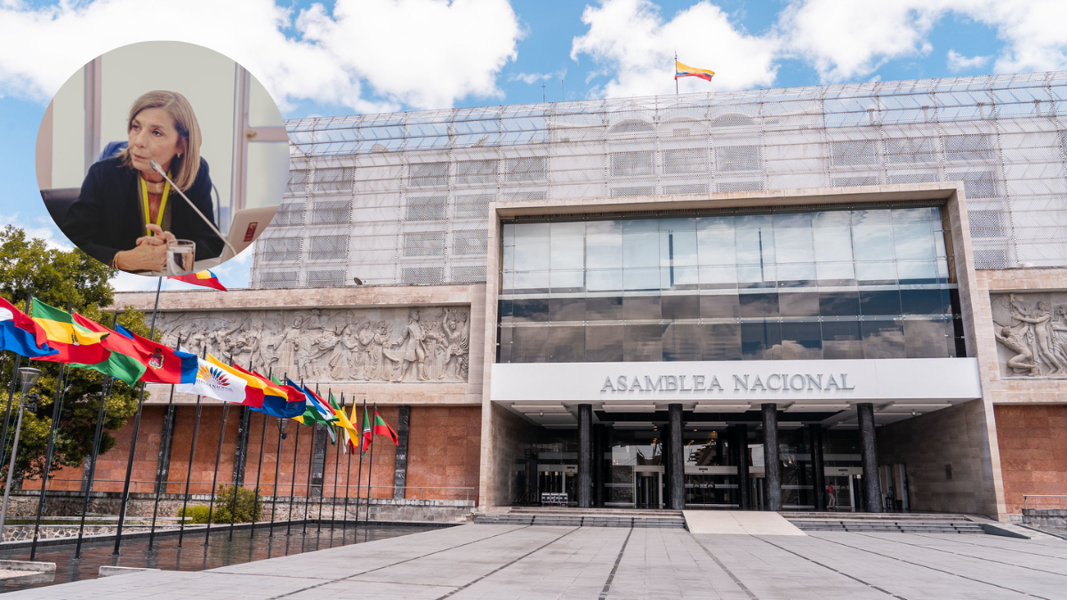 Sybel Martínez, de Rescate Escolar, acudió a la Comisión de la Niñez y Adolescencia de la Asamblea Nacional.