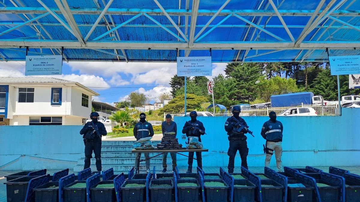 Durante el allanamiento se incautaron más de 300 kilos de marihuana, maquinaria industrial e impresoras 3D con filamento plástico.