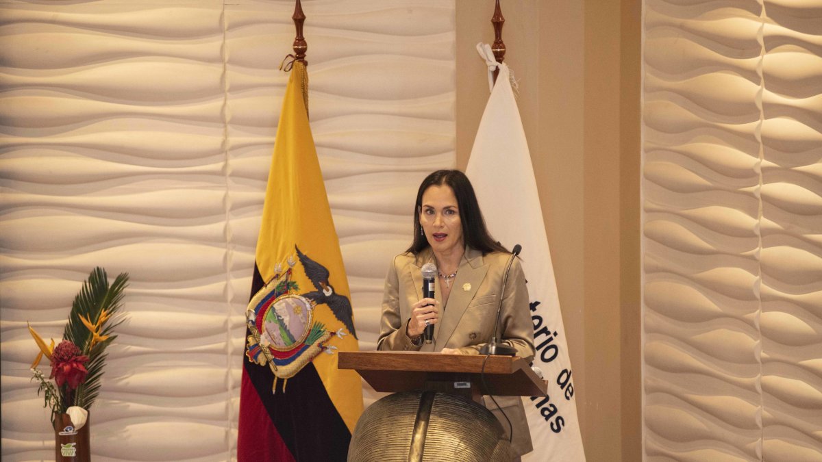 La ministra de Energía, Inés Manzano, en una rueda de prensa.