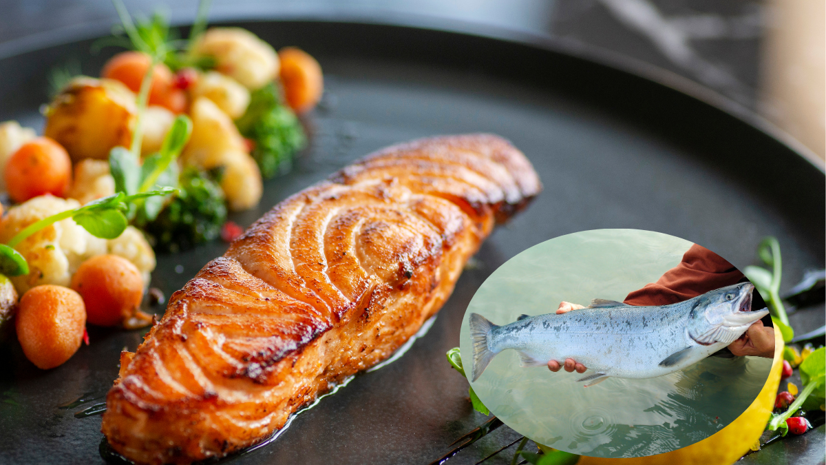 El restaurante Kann en Portland sirve salmón de cultivo celular, replicando sabor y textura sin dañar los océanos