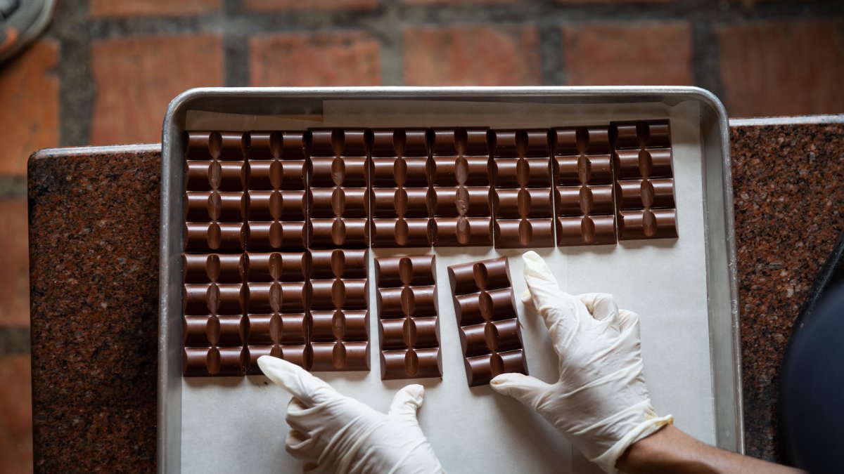 Fotografía de derivados del cacao exhibidos en una finca de Tacarigua, estado Miranda (Venezuela).