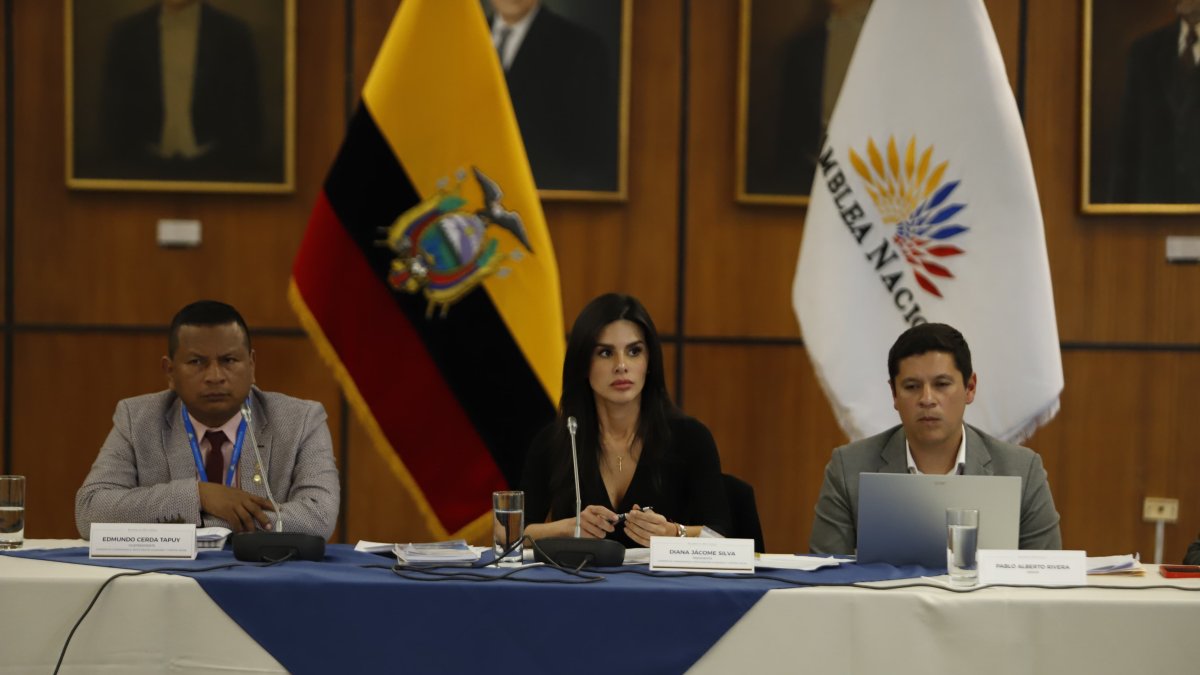 La Comisión de Transparencia está dirigida por el oficialismo y allí se aprestan a resolver sobre el informe de Progen.