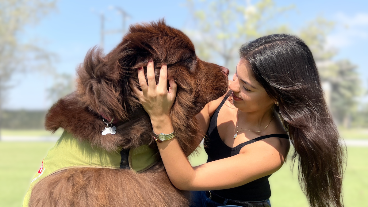 Chubby recorre con serenidad los jardines del Parque de la Paz, donde brinda consuelo a quienes atraviesan un duelo.