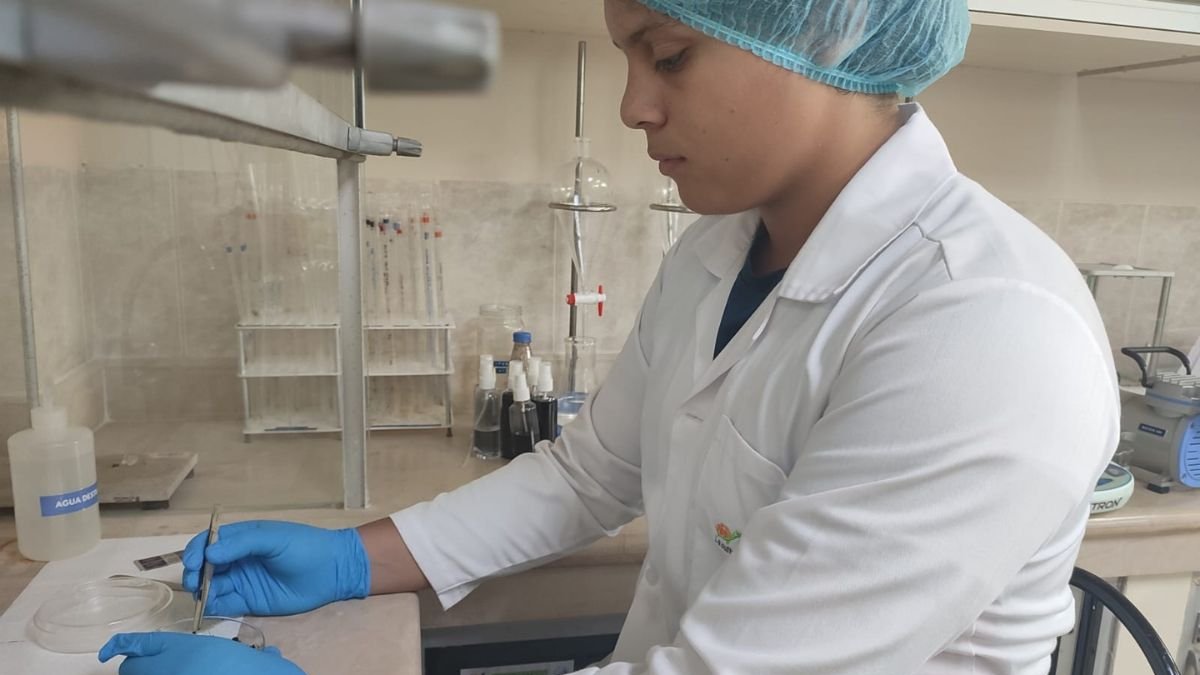 Innovación juvenil desde Ecuador: el biomaterial de un estudiante de COPOL que podría transformar el uso de plásticos