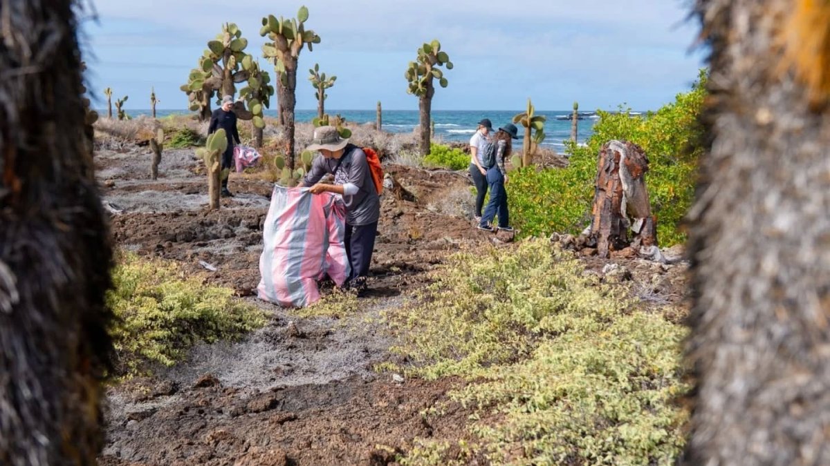 Voluntarios levantan toneladas de basura de las playas, cada año.