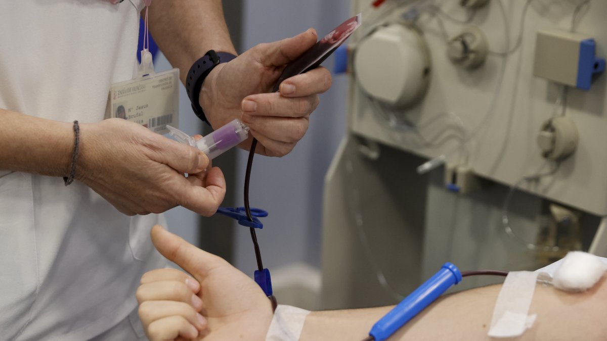 Identifican 250 proteínas en sangre que pueden revelar la gravedad de la malaria.