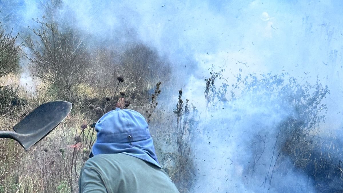 Ciudadano fue sancionado por provocar incendio forestal en Tumbaco, en Quito