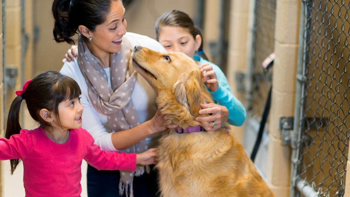 Día Mundial del Perro también se convierte en una oportunidad para actuar con empatía y responsabilidad.