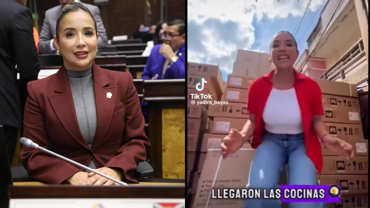 Jadira Bayas, asambleísta de ADN, en el Pleno y en un video en el que aparece con decenas de cocinas de inducción, en campaña electoral.