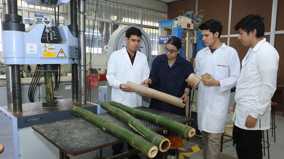 Bahareque encementado, una solución sismo-resistente y sostenible: ESPOL propone una alternativa habitacional con identidad local y bajo costo