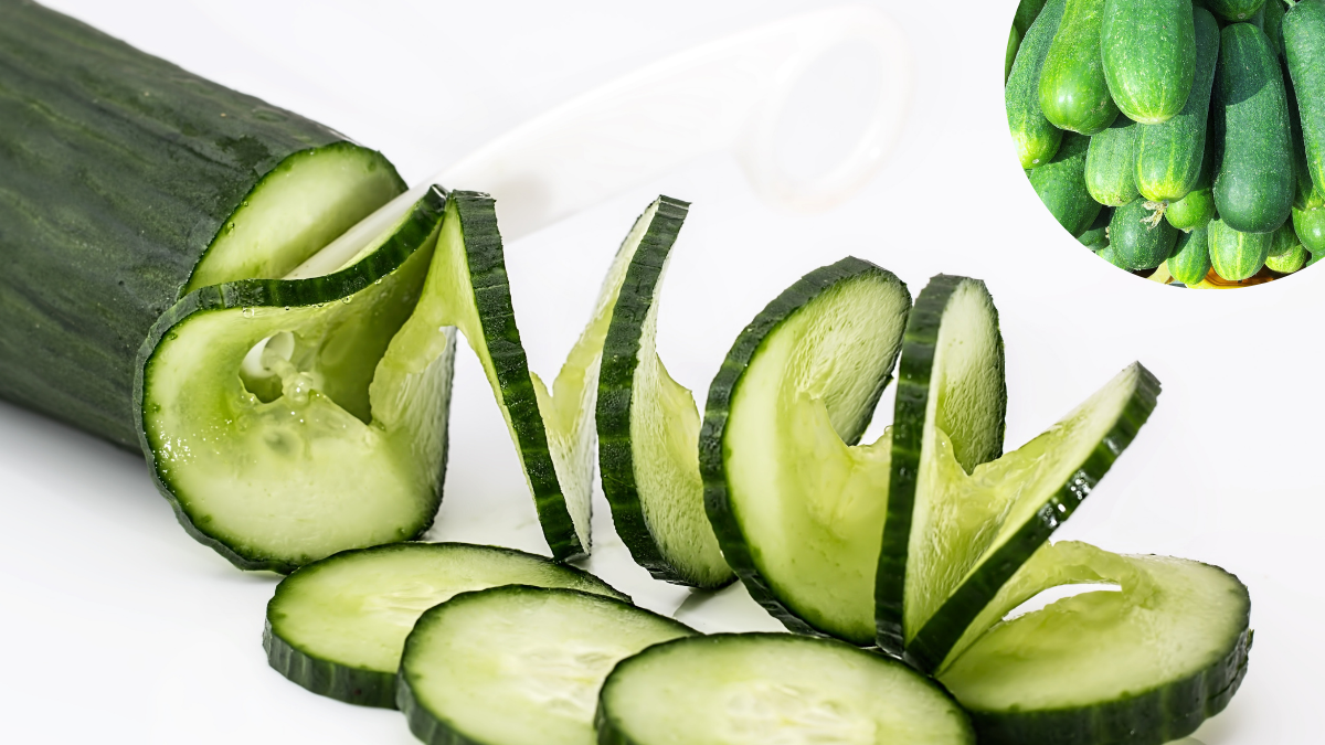 La cáscara de pepino es una fuente natural de fibra, antioxidantes y vitaminas que promueven la salud y reducen el desperdicio