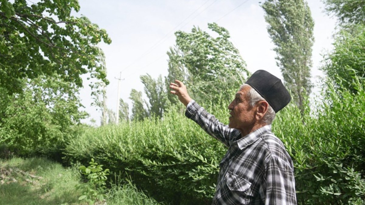 El agricultor de albaricoques tayiko Uktam Kuziev, de 72 años, recorre su jardín en la ciudad de Isfara, en el norte de Tayikistán, el 23 de mayo de 2025.