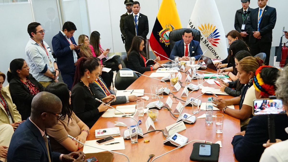 La Comisión de Fiscalización de la Asamblea Nacional está controlada por cinco oficialistas y uno de sus aliados.