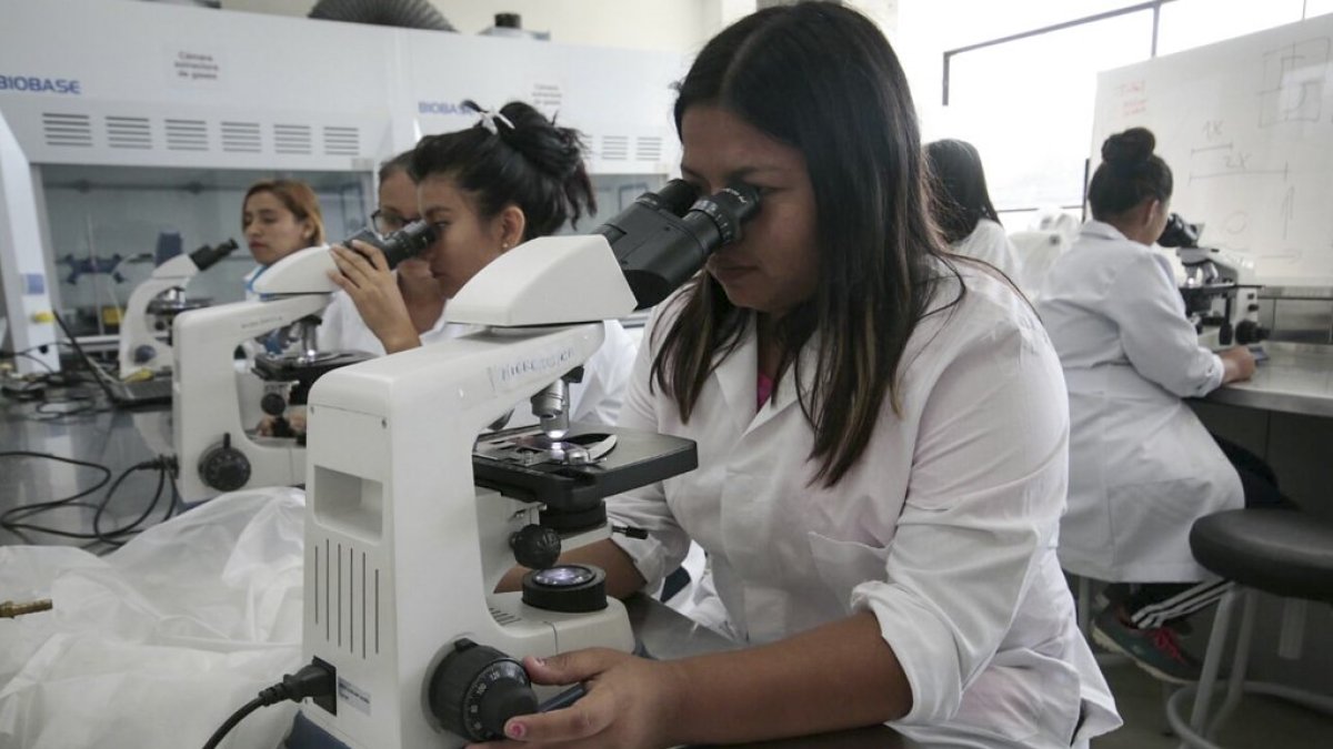 Expertos brindan recomendaciones para potenciar la formación de profesionales técnicos en el Ecuador.