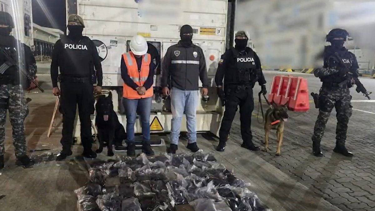 Canes detectan droga en contenedores con fruta en puerto de Guayaquil