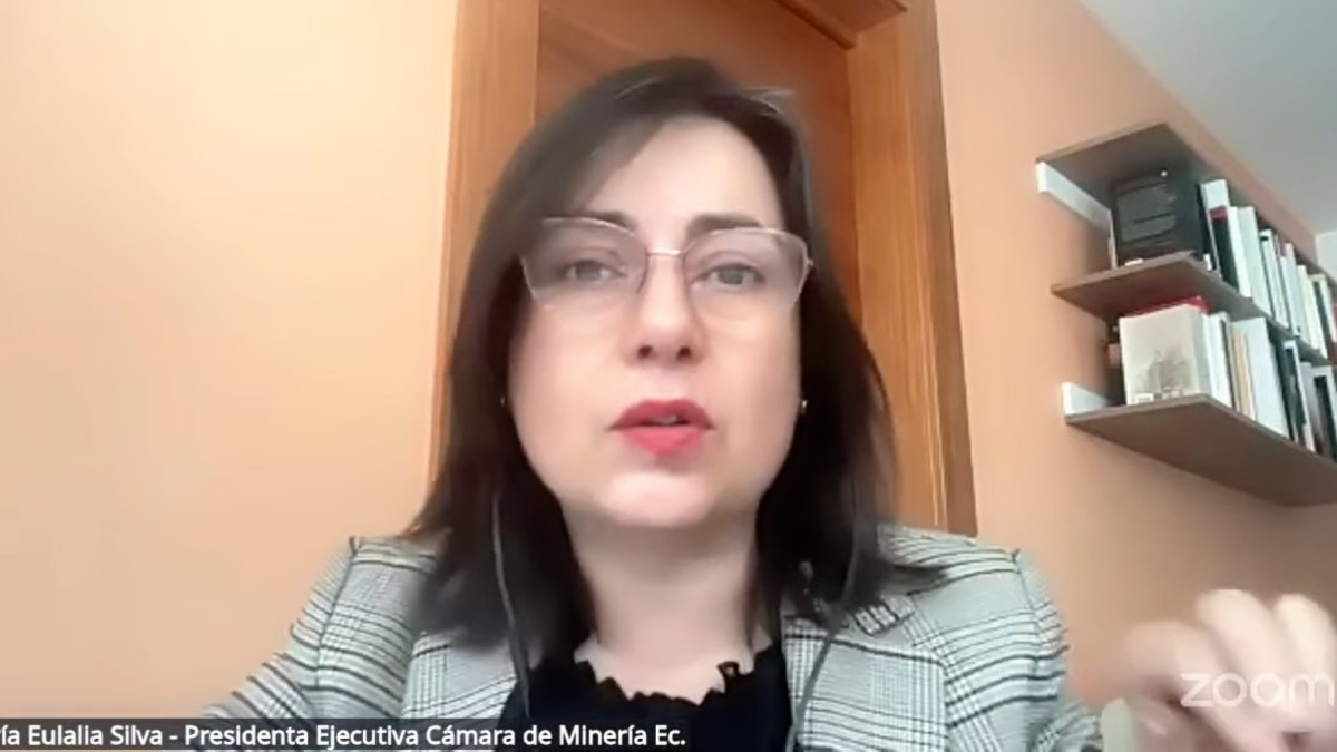 El sector minero presentó cinco objeciones al proyecto de ley sobre páramos en la Asamblea